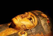 متحف التحنيط: اكتشف فنون التحنيط وأسرارها في مصر القديمة
